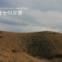 [제주도/제주]바람이 만든 제주 그리고 아름다운 이곳 "용눈이오름"