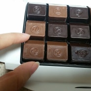 Z chocolat 지초콜렛 프랑스 직구 후기.