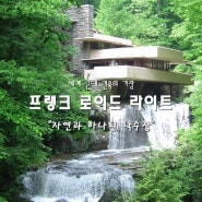 [100명의 유명한 건축가 #30]세계 근대 건축의 거장 프랭크 로이드 라이트_낙수장(Falling water)