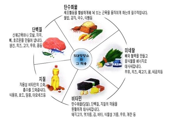 5대 영양소★에 대하여 : 네이버 블로그