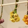 드라이플라워, 장미꽃말리기, 꽃말리기, 드라이플라워만드는법, 꽃말리는방법