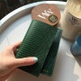 초록초록한 봄맞이 여권케이스