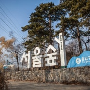 서울숲 겨울풍경 :: 서울 가볼만한곳, 출사지 추천