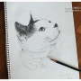 연필 소묘 - 고양이, 쟈니님 댁 딸기