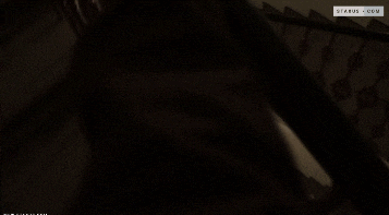 [Staxus] Young Wannabe Gives Jace Reed’s Monster Cock A Raw Ride (POV