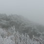 눈덮힌 유명산, 유명산 자연휴양림(원앙새)
