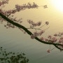[음악과사진] 그대와 단둘이 손잡고 걸어요~ 벚꽃 날리는 진해벚꽃축제에서 #벚꽃엔딩 #진해