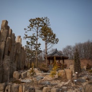 부천자연생태공원 / 부천식물원 겨울풍경 :: 서울근교 가볼만한곳