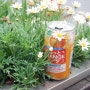 도쿄의 어느 봄날입니다.^^