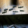 arowana : Miniature Hammers