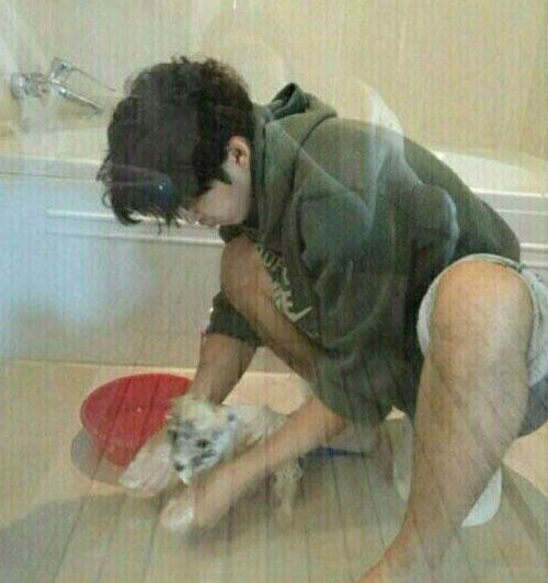 ìœ¤ê³„ìƒ ì´í•˜ë‰˜ ì‚¬ì§„ ì‹¤ë£¨ì—£ ë…¼ëž€ì„ ë³´ê³  ë°˜ë ¤ê²¬ ëª©ìš•ì‹œí‚¤ëŠ