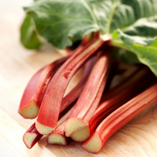 루바브(Rhubarb)를 아시나요? -루바브요리, 루바브레시피 : 네이버 블로그