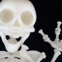 [3D출력물] Skeleton 3D프린터출력