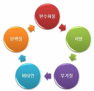 5대 영양소 : 네이버 블로그