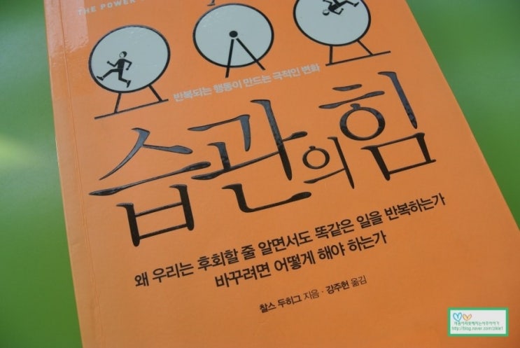 습관의 힘 그리고 마시멜로우 실험을 통한 끈기 배우기 : 네이버 블로그