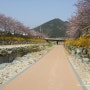 순천 벚꽃구경은 동천에서 ! (블로그씨질문, 꽃놀이 가기 좋은곳 추천이요!)
