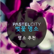 파스텔시티 :: 봄봄봄~ 봄이 왔나봄~! 서울 벚꽃축제 명소 추천