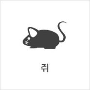 [버그벅스] 쥐 소독/해충정보