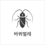 [버그벅스] 바퀴벌레 소독/해충정보