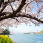 [남해 풍경] 남해 노량의 봄