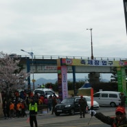 대저생태공원에 대저토마토축제 보구 왔어요