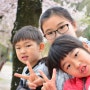 창원대학교 호수 벚꽃 구경 - 봄 꽃 나들이