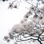 부산 금강 식물원 봄소풍!!