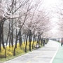 서울 벚꽃 전 이곳에 가봤어요.