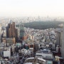 [도쿄] 도쿄시내를 무료로 볼 수있는 전망로비, 신주쿠센터 빌딩(新宿センタービル)