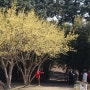 봄꽃여행 지리산 중산리계곡맛집