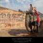 #176 베가본더와 아톰의 자전거 세계일주 - 살인적인 일정, 볼 것 많은 라자스탄 - 인도 ~684일