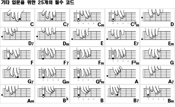 비밀을 위한 기타 코드