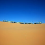 Kubuqi Desert, China 1