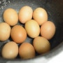 집에서 맥반석 계란 만들기