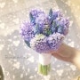 [ Bouquet de Kayla ] Violet Hyacinth with Muscari - 대구웨딩부케, 대구꽃, 부케, 4월부케추천, 5월부케추전, 대구꽃선물