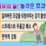 무한 치유, 무한 힐링! 숲으로 가자! 