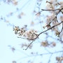 봄