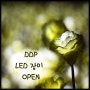 서울명소 DDP LED 장미정원 오픈! 빛나는 장미에서~ 동화같은 사진도 찍어보아요 :)