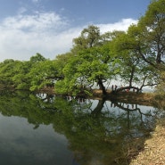 경산 반곡지