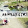 '우유'랑 도봉구 창포원 산책 나들이♥ :)