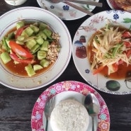치앙마이 음식사진 대공개