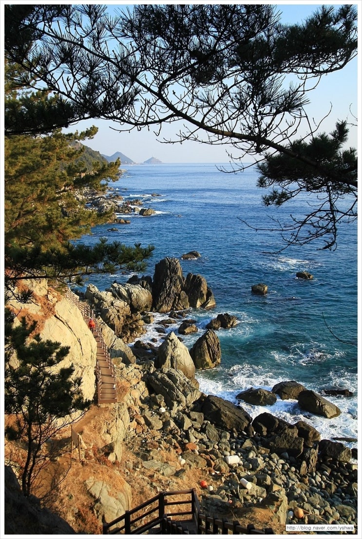 영덕 블루로드) 다시 찾은 '푸른 대게의 길'에서 만끽한 상큼한 트레킹 재미 6, 노물리 해안의 절경 - 주알주동의 포토에세이 ...