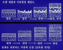 지층형성 이론 - 퇴적지층 : 네이버 블로그