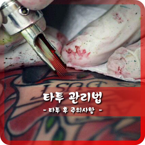 ★타투 관리★타투 관리법★타투 후 주의사항★ : 네이버 블로그