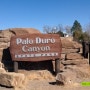[미국여행/텍사스(Texas)] 미국에서 두번째로 큰 텍사스 팔로듀로 캐년,Palo Duro Canyon state park
