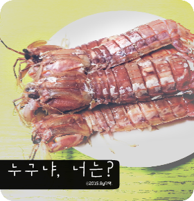 갯가재(쏙)를 아시나요? /갯가재효능/갯가재먹는법/갯가재까는법 : 네이버 블로그
