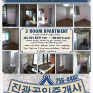 3 Room Apartment