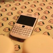 [9790] 블랙베리 9790 핑크 카메라 화질 / Blackberry 9790 pink