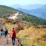 지리산 노고단 가는 길~