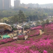 [5월축제]2015 군포철쭉대축제 군포여행 봄꽃여행
